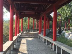 -原山国家森林公园