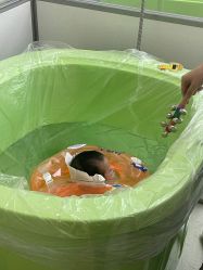 -弗蕾亚·和月月子调理院(东湖店)