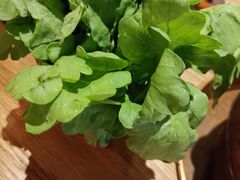 -十六蒲(桂林路店)