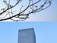 -滨湖塘西河公园