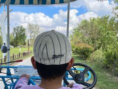 -盐城丹顶鹤湿地生态旅游区