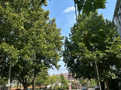 -山东农业大学(岱宗校区)