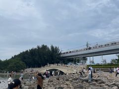 -宝安西湾红树林湿地公园