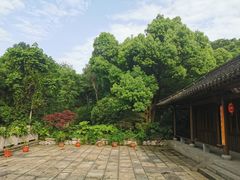 -中国茶叶博物馆(双峰馆区)