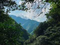 -山沟沟景区