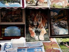 -新疆国际大巴扎