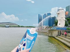 -鱼尾狮公园