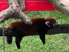 -西霞口神雕山野生动物世界