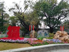 -荔湾湖公园