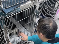 -中农国际动物医院24小时·猫科·骨科·急重症中心