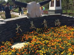 -武清南湖绿博园