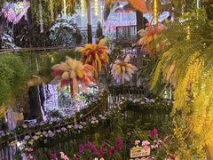 -正佳雨林生态植物园
