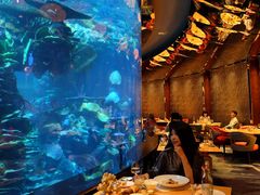 -迪拜帆船酒店海底餐厅