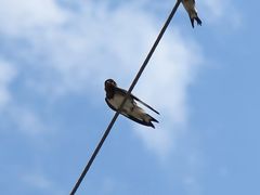 -小世界西餐厅(建国门店)