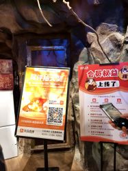 -探洞工场(丰科万达旗舰店)