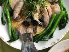 -勒南公舍(龙江店)