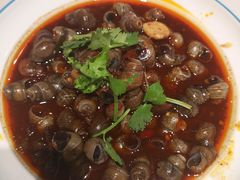 -杨氏青龙虾·羊蝎子(金盛路总店)