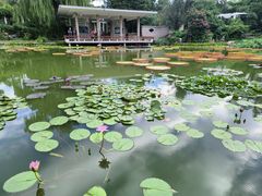 -国家植物园南园