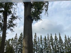 -前小桔亲子创意农场·草莓采摘·露营烧烤