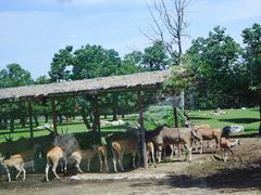 -西安秦岭野生动物园