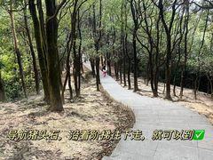 -火炉山森林公园