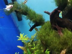 -多彩贵州城极地海洋世界