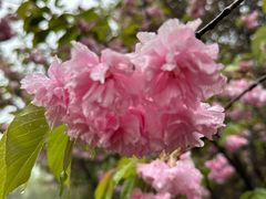 -青州市云门山风景区