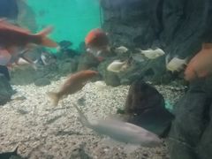 -常州海昌海洋探索馆