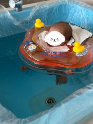 -大美母婴月子专护中心(紫峰店)