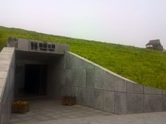 -合肥滨湖国家森林公园