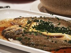 -醉辉皇原味海鲜江南菜(成都大魔方店)
