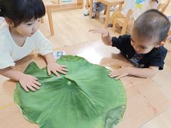 -深业幸福家香蜜湖街道普惠性托育园(合正置地园区)