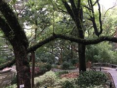 -香港大学