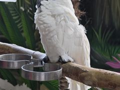 -海合安武汉极地海洋公园