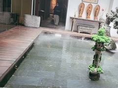 -觀芷隐轩