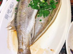 -乡吧啦·甲鱼铺子(海德二道店)