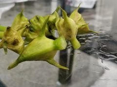 -七的湖·晚芳亭·阳澄湖农家菜·大闸蟹(莲花岛店)