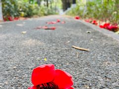 -竹子林(地铁站)