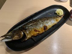 -万岁料理回转寿司(华贸店)