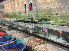 -新海利海鲜城·41年珠海老字号(夏湾店)