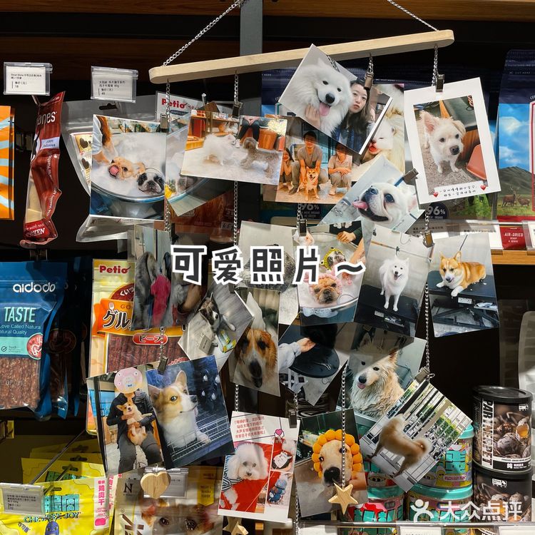 小佩真的是一家非常有爱的宠物洗护店呀～