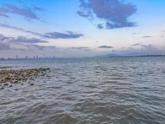 -深圳湾公园(南山区)