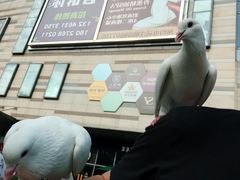 -IPARK购物中心