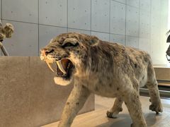 -Behring World of Animals(上海自然博物馆店)