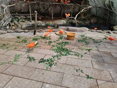 -大连老虎滩海洋公园
