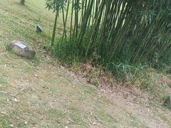 -福建鲤鱼洲酒店