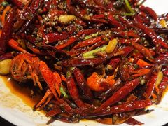 -京悦南门涮羊肉·羊蝎子火锅(田林路店)
