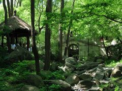 -国家植物园南园