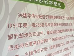 -兴隆华侨农场