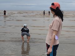 -奉贤海滩